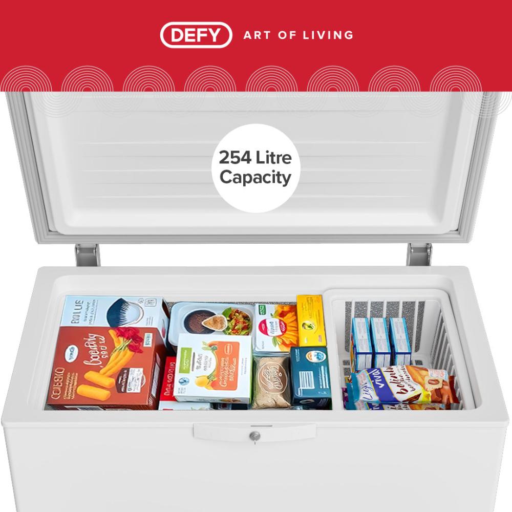 Defy 254lt Chest Freezer - DMF473